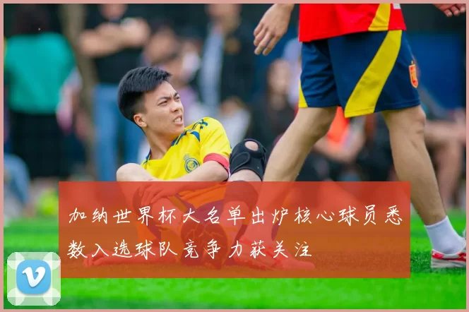 加纳世界杯大名单出炉核心球员悉数入选球队竞争力获关注