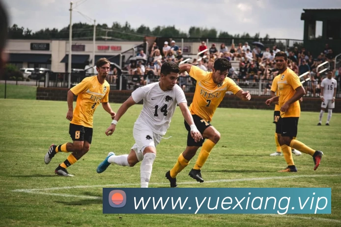 App Interface Preview